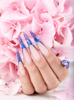 Master VIP Nail Course | ElicaBeauty